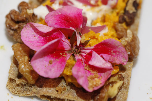 Patelina Vege zalogaj