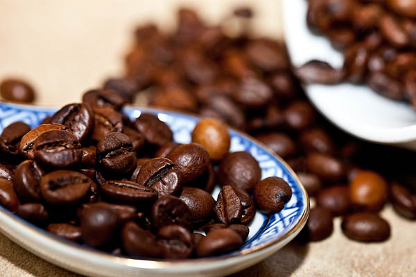 Robusta
