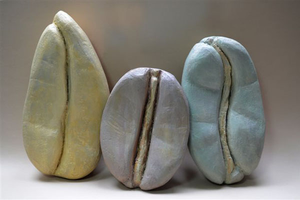 Modeli semena kafe liberike, robuste i arabike