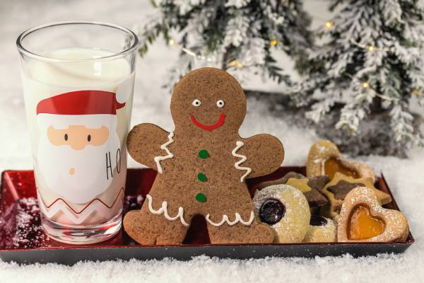 Novogodišnji zalogaji